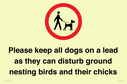 please-keep-all-dogs-on-a-lead-as-they-can-disturb-ground-nesting-birds-and-thei~